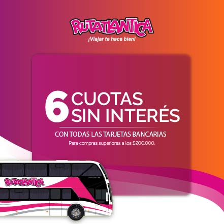 6 Cuotas Sin Interes